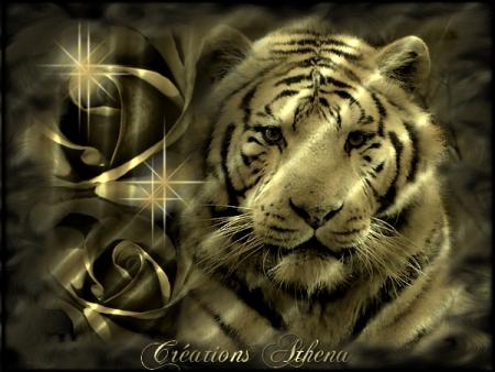 Créations Athena